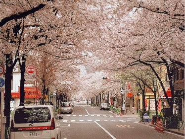 日本大學 日本大學