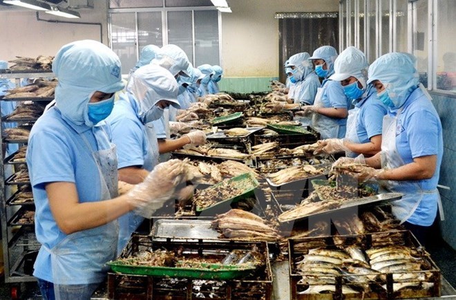 附圖：2018年前兩月越南水產品出口額同比增長近30%。（圖片來源：越通社）